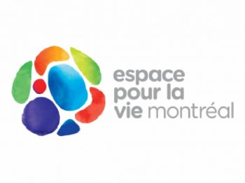 _2_espace-montreal